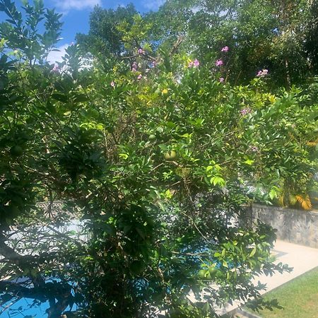 Healand Holiday Bungalow And Restaurant 데니야야 외부 사진